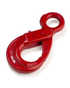 Lewis self-locking haak G80 / oog